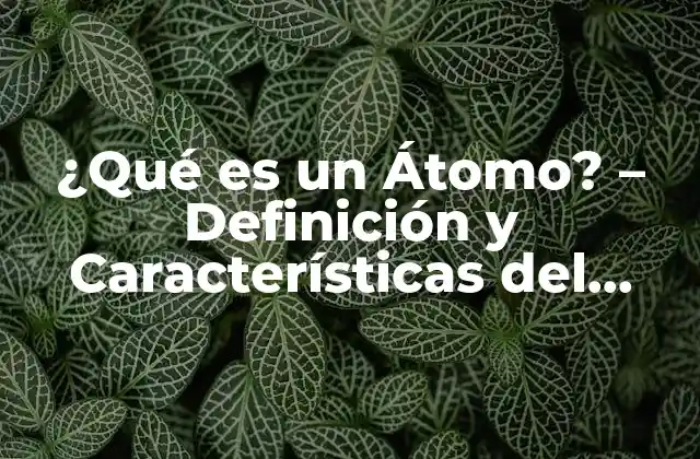 ¿qué es un Átomo? – Definición y Características Del Átomo
