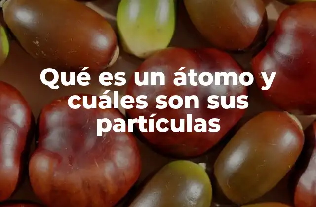 Qué es un Átomo y Cuáles Son Sus Partículas