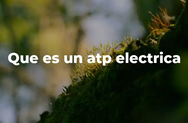 Que es un Atp Electrica