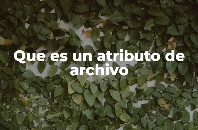Que es un Atributo de Archivo 2 Cómo los atributos afectan la gestión de archivos