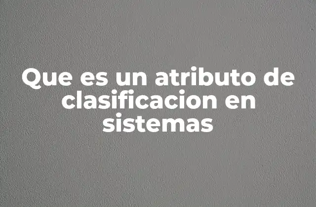 Que es un Atributo de Clasificacion en Sistemas