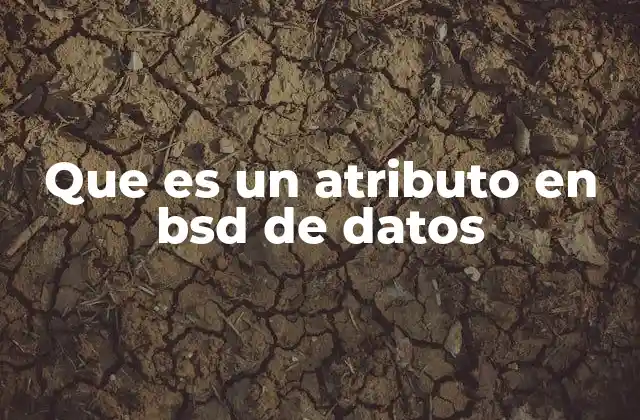 Que es un Atributo en Bsd de Datos