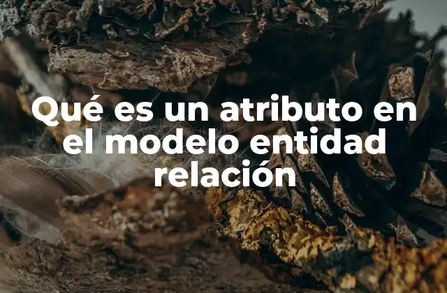 Qué es un Atributo en el Modelo Entidad Relación