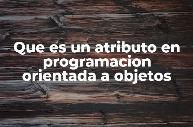 Que es un Atributo en Programacion Orientada a Objetos