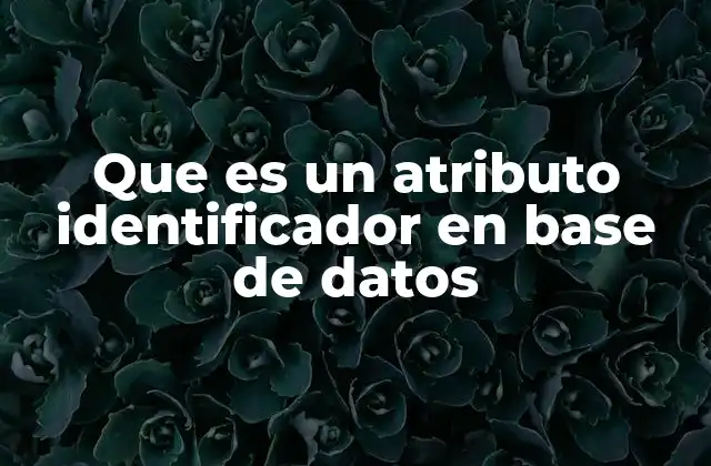 Que es un Atributo Identificador en Base de Datos