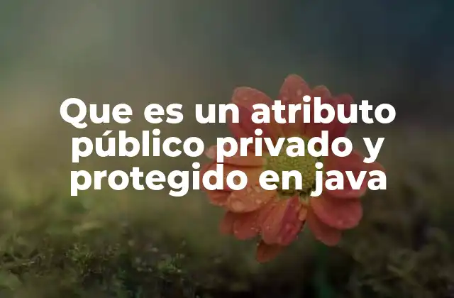 Que es un Atributo Público Privado y Protegido en Java