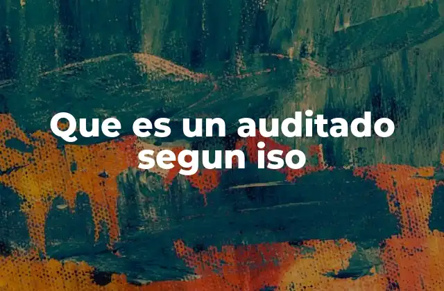 Que es un Auditado Segun Iso