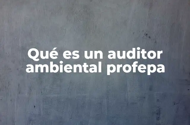 Qué es un Auditor Ambiental Profepa 2 El rol del auditor ambiental en la protección del medio ambiente