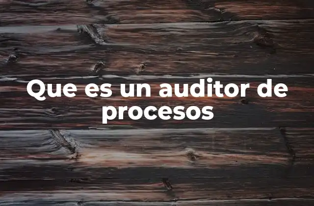 Que es un Auditor de Procesos