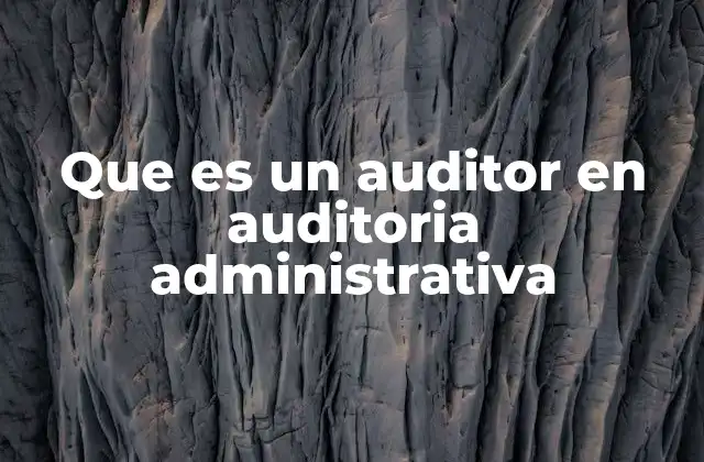 Que es un Auditor en Auditoria Administrativa 2 El rol del auditor en la gestión empresarial