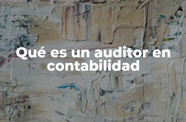 Qué es un Auditor en Contabilidad