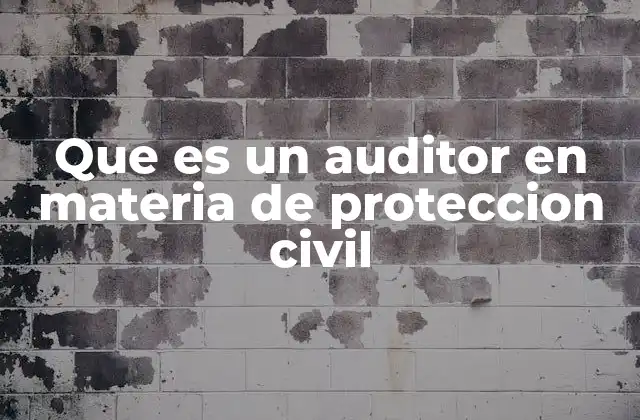 Que es un Auditor en Materia de Proteccion Civil