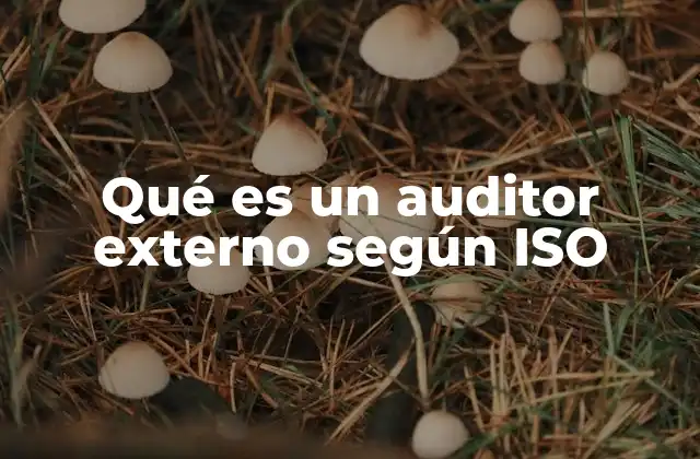 Qué es un Auditor Externo según Iso