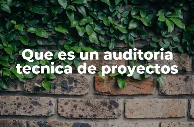 Que es un Auditoria Tecnica de Proyectos