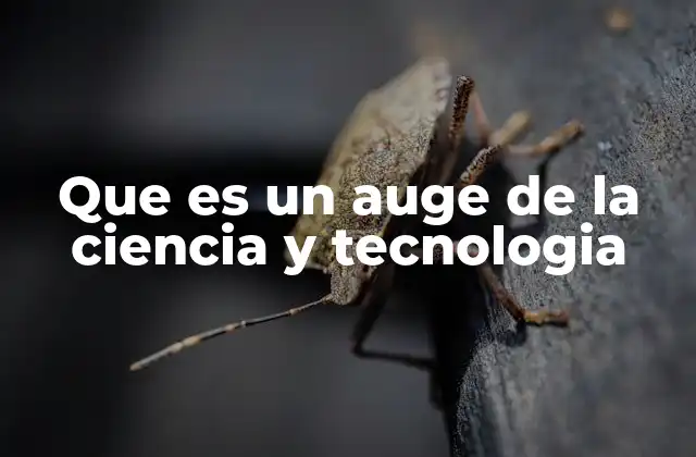 Que es un Auge de la Ciencia y Tecnologia