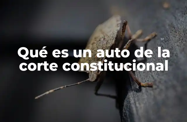Qué es un Auto de la Corte Constitucional