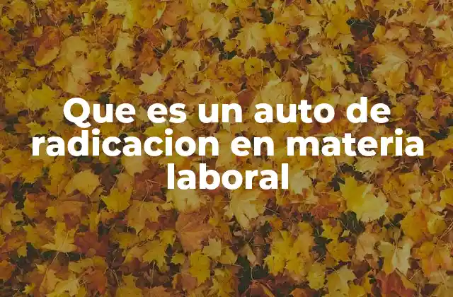 Que es un Auto de Radicacion en Materia Laboral