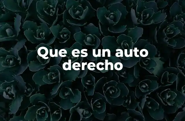 Que es un Auto Derecho