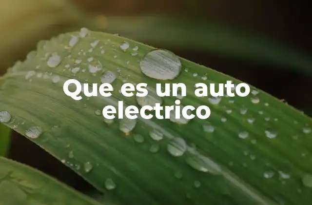 El funcionamiento detrás del vehículo con motor eléctrico