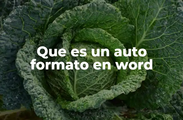Que es un Auto Formato en Word