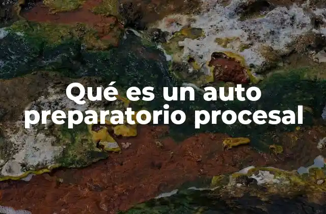 El papel del juez en la emisión del auto preparatorio