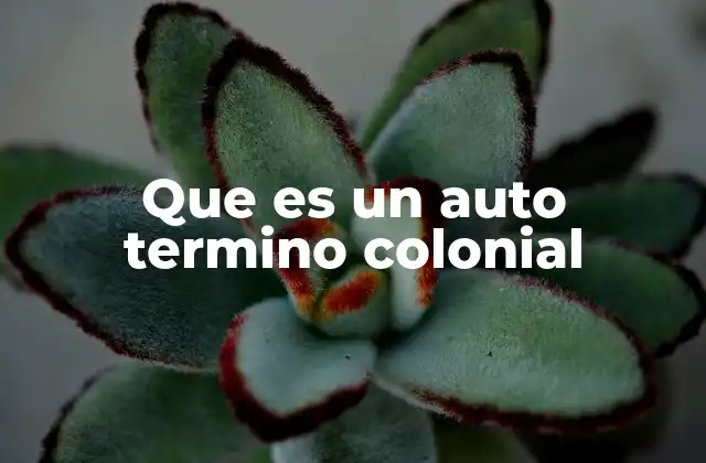 Que es un Auto Termino Colonial