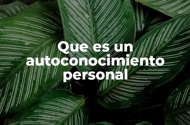 El viaje interior: una mirada más profunda al yo