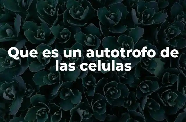 Que es un Autotrofo de las Celulas