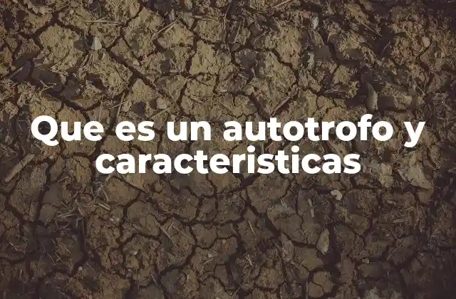 Que es un Autotrofo y Caracteristicas