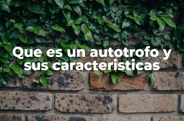 Que es un Autotrofo y Sus Caracteristicas