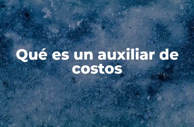 Qué es un Auxiliar de Costos