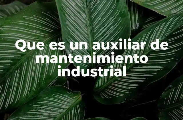 Que es un Auxiliar de Mantenimiento Industrial