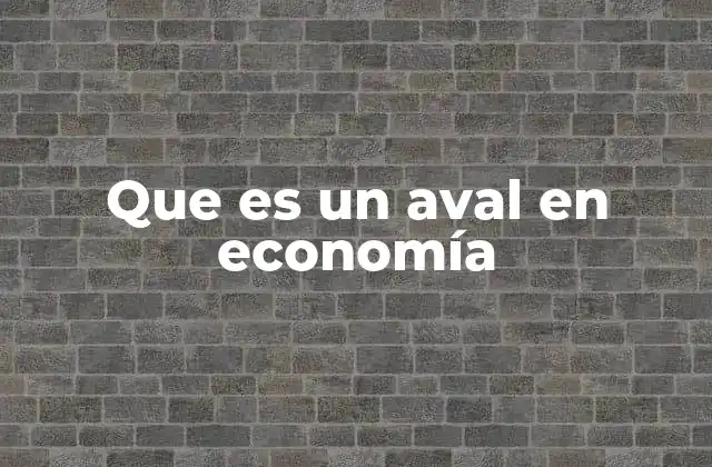 Que es un Aval en Economía