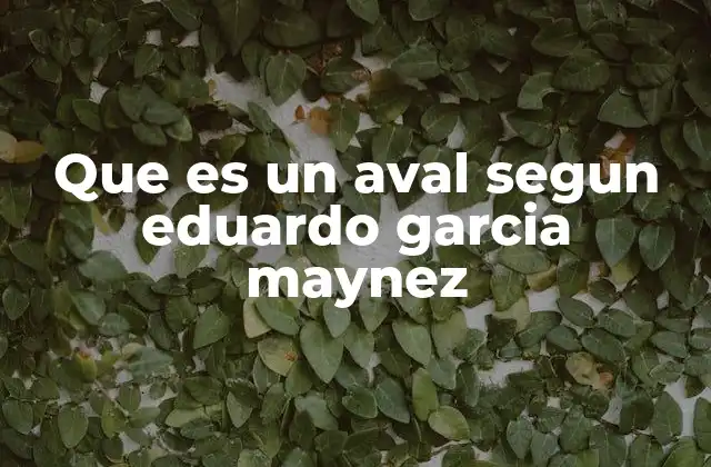 Que es un Aval Segun Eduardo Garcia Maynez