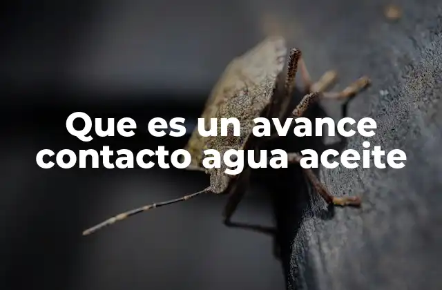 Que es un Avance Contacto Agua Aceite