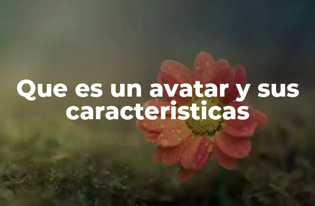 Que es un Avatar y Sus Caracteristicas