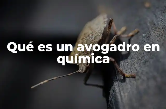 Qué es un Avogadro en Química 2 La importancia del número de Avogadro en la química moderna