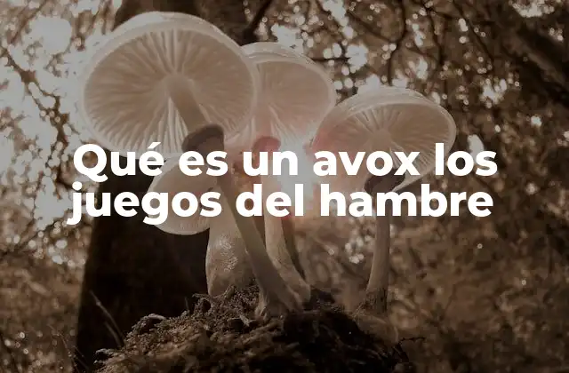 Qué es un Avox los Juegos Del Hambre