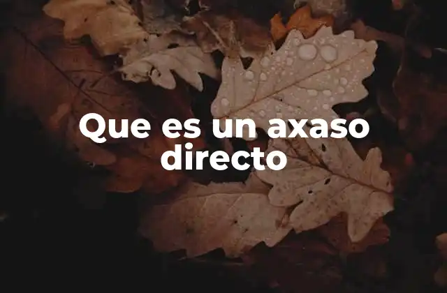 La importancia de los axasos directos en la contabilidad