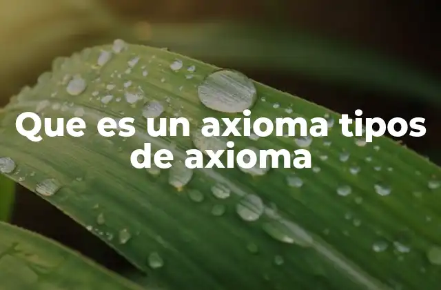 Que es un Axioma Tipos de Axioma