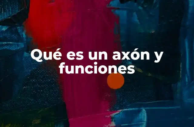 Qué es un Axón y Funciones