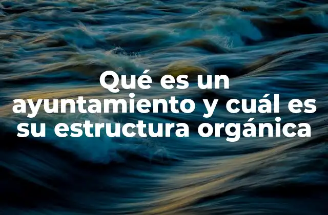 Qué es un Ayuntamiento y Cuál es Su Estructura Orgánica