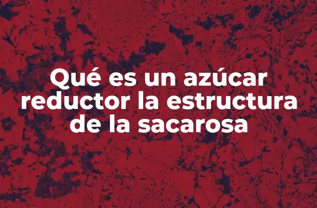 Qué es un Azúcar Reductor la Estructura de la Sacarosa