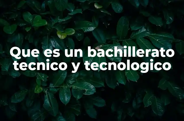 Que es un Bachillerato Tecnico y Tecnologico