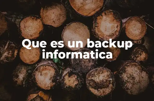Que es un Backup Informatica