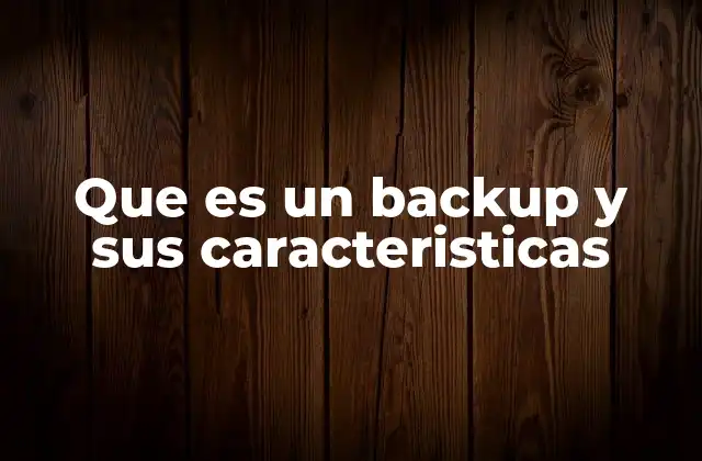 Que es un Backup y Sus Caracteristicas