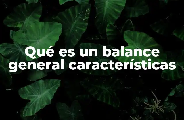 Qué es un Balance General Características