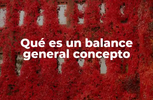 Qué es un Balance General Concepto
