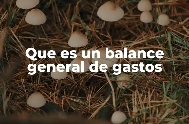 Que es un Balance General de Gastos