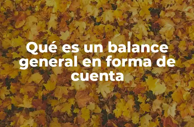 Qué es un Balance General en Forma de Cuenta